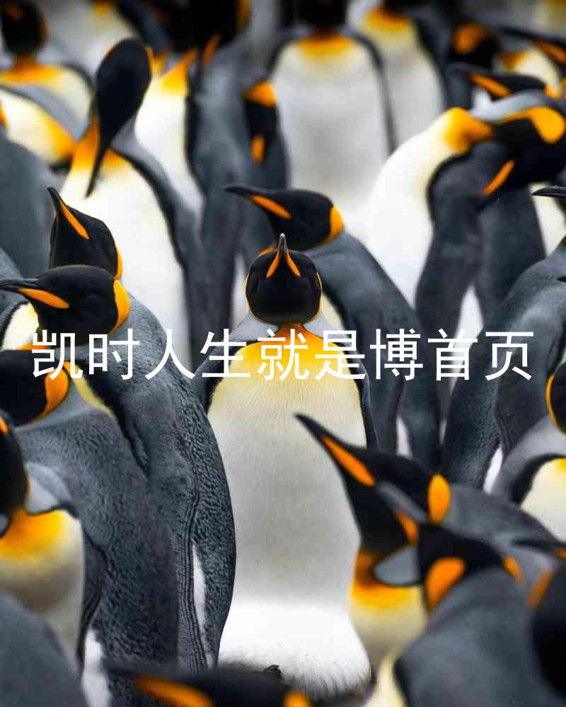 凯时人生就是博首页